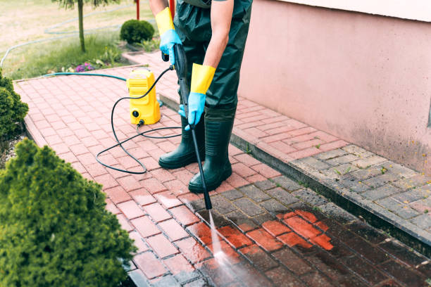 Best Dumpster Area Cleaning  in Pine Beach, NJ