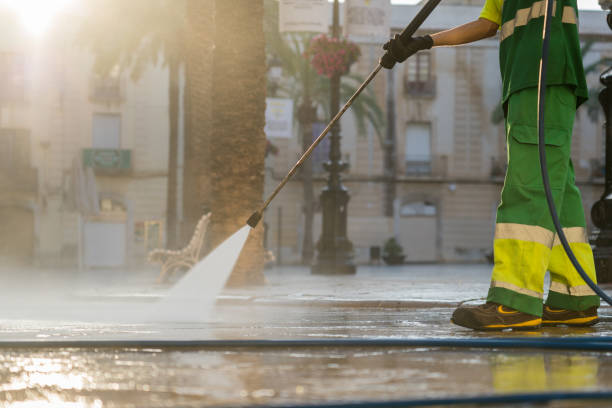 Best Roof Washing  in Pine Beach, NJ